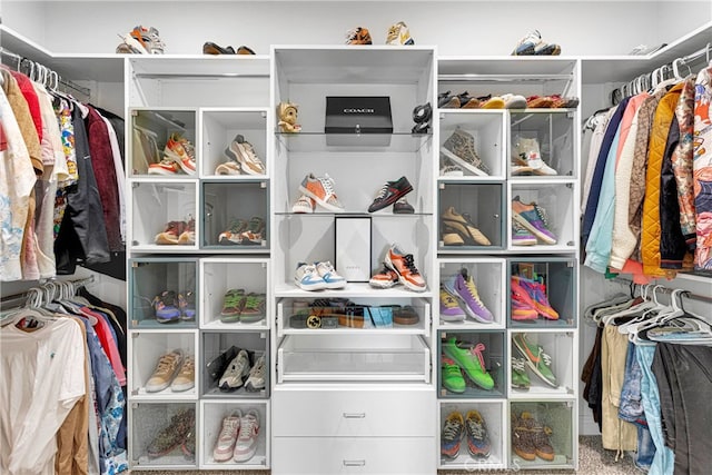 spacious closet with carpet floors