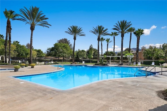 view of swimming pool with a patio