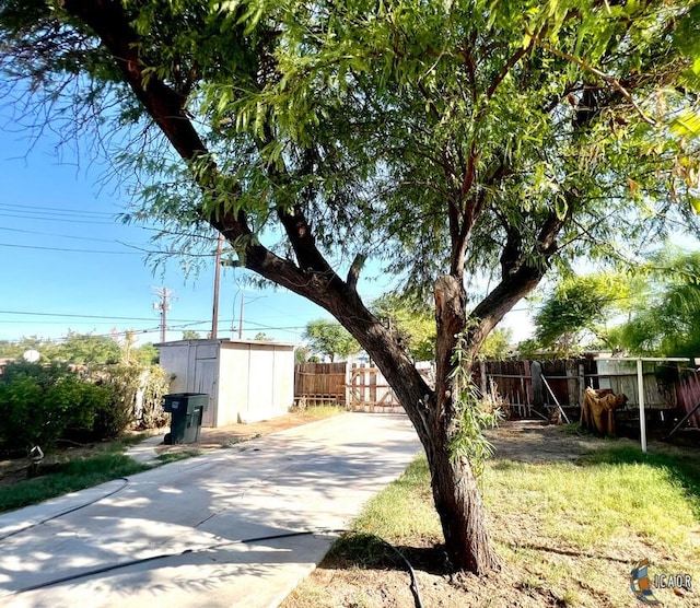 view of yard with a storage unit