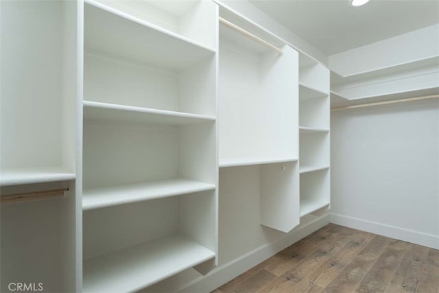 walk in closet with wood-type flooring