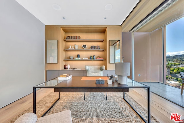 office space featuring light wood-type flooring and plenty of natural light