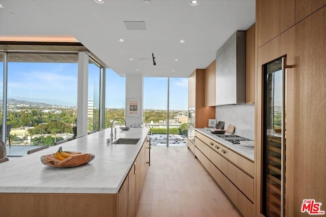 kitchen with wall chimney exhaust hood, light wood-type flooring, a kitchen island with sink, and sink