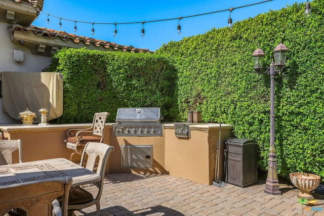 view of patio / terrace featuring area for grilling and exterior kitchen