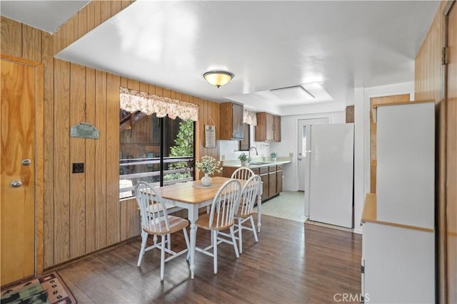 dining space with sink, dark wood-type flooring, and wood walls