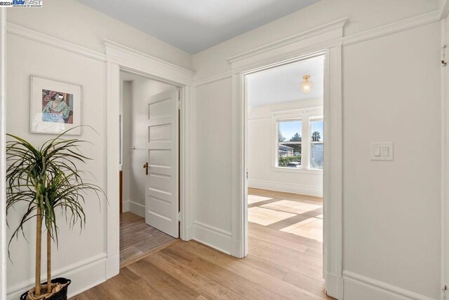 hallway featuring light hardwood / wood-style flooring