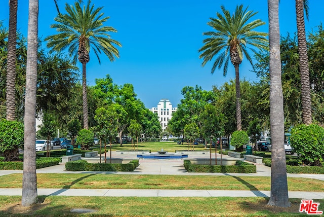 view of community featuring a yard