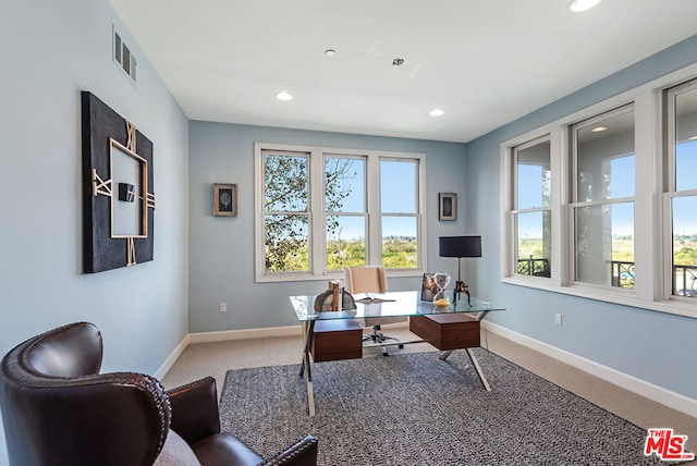 home office featuring carpet floors and a wealth of natural light