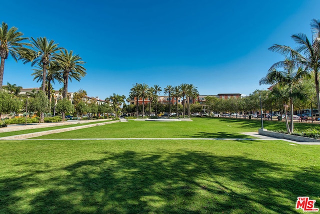 view of community featuring a lawn