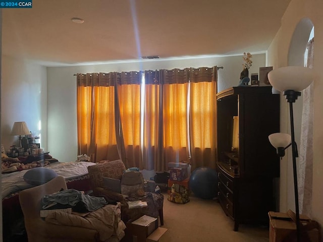 living room with carpet floors