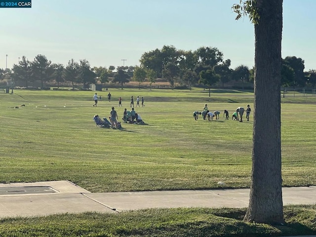 view of property's community with a yard