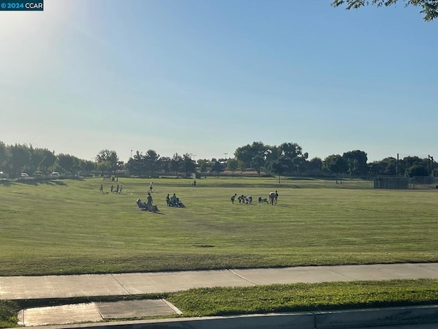 view of community with a yard