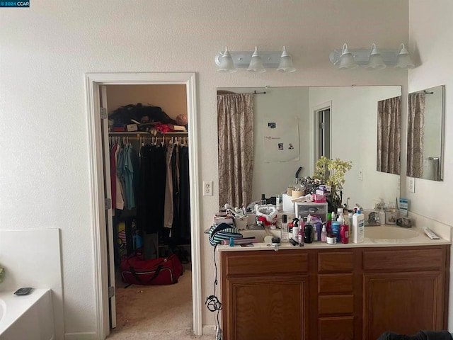 bathroom featuring vanity and a bathing tub