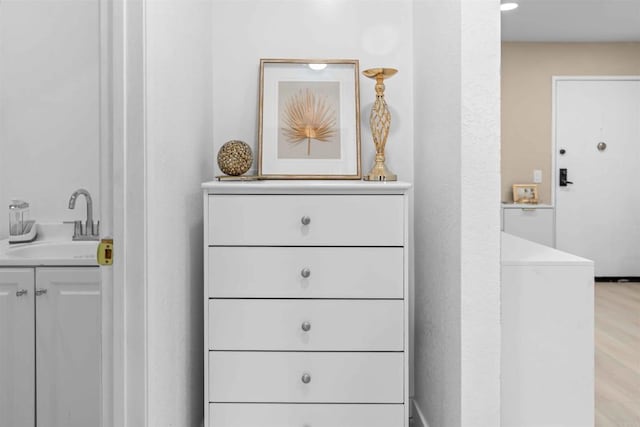 room details with hardwood / wood-style floors and sink