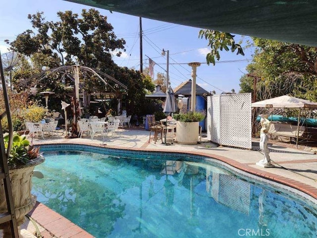 view of pool with a patio