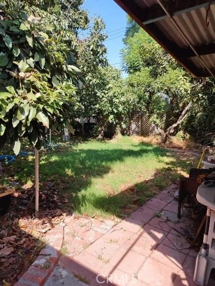 view of yard featuring a patio