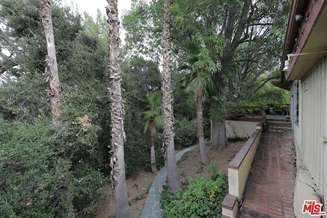 view of yard featuring a deck