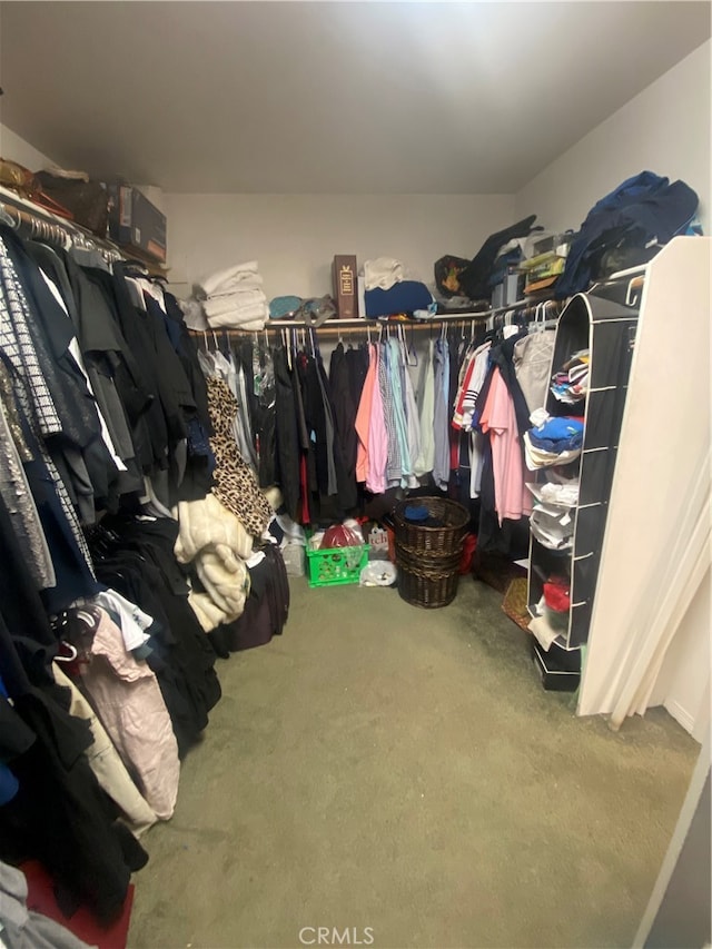 walk in closet with carpet