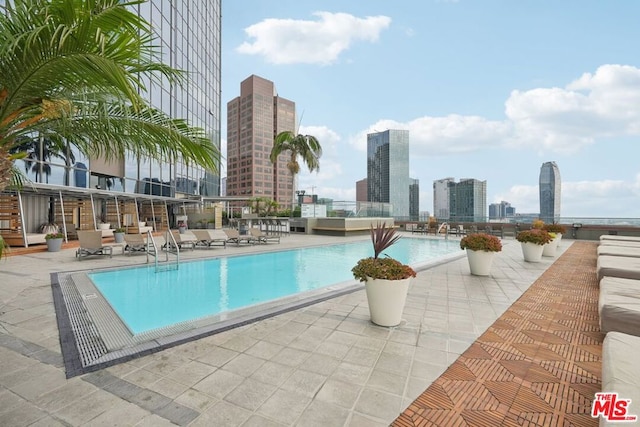 view of swimming pool with a patio