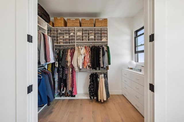 spacious closet featuring light hardwood / wood-style floors