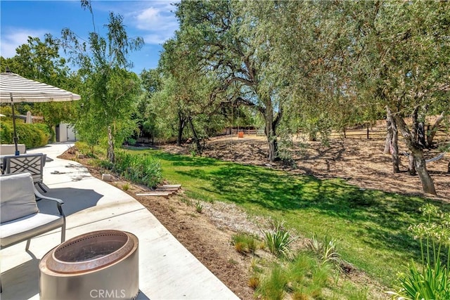 view of yard with a patio area