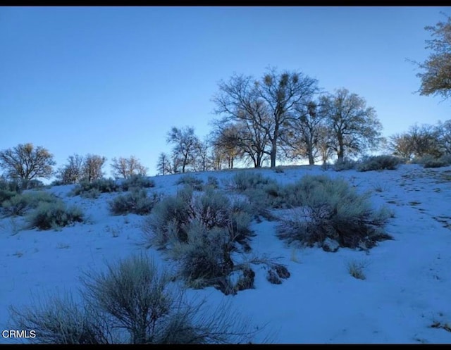 Listing photo 3 for 17900 Zurich Ct, Tehachapi CA 93561