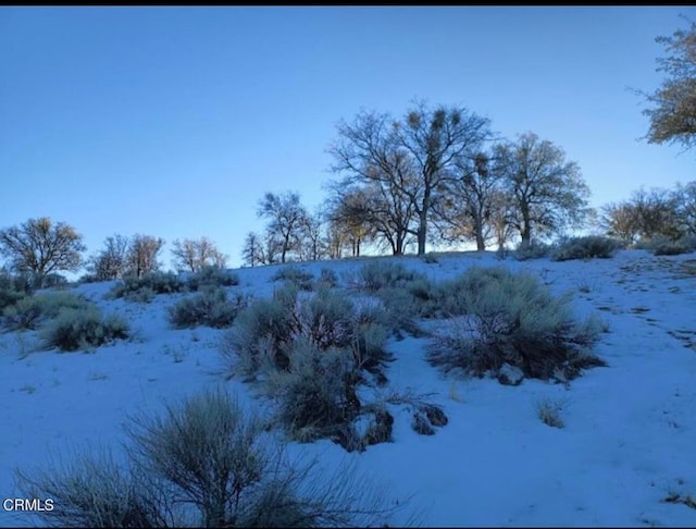 17900 Zurich Ct, Tehachapi CA, 93561 land for sale