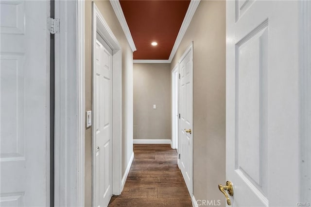 hallway featuring dark hardwood / wood-style floors and crown molding