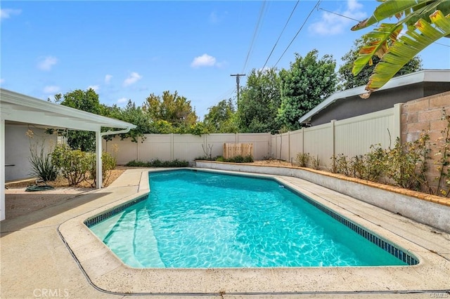 view of pool with a patio