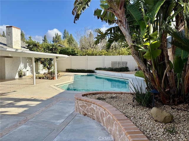 view of pool with a patio area