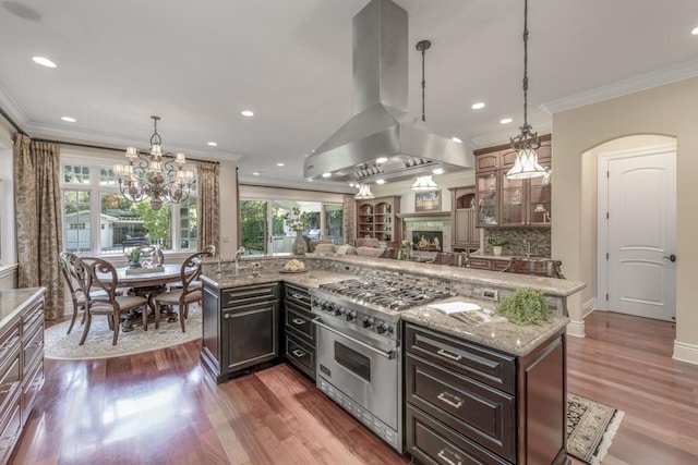 kitchen featuring island exhaust hood, dark brown cabinets, dark hardwood / wood-style floors, and stainless steel stove