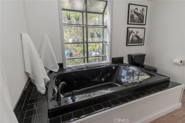 bathroom with hardwood / wood-style flooring and plenty of natural light