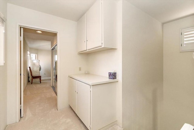 laundry room with light carpet