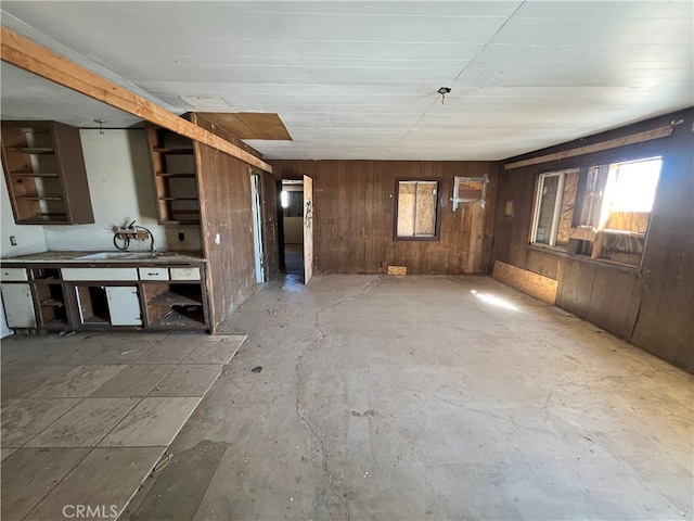 interior space featuring wooden walls and sink