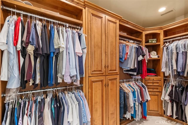 view of walk in closet