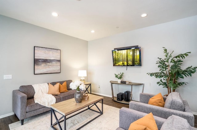 living room featuring hardwood / wood-style floors