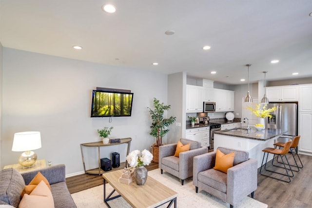 living room featuring light hardwood / wood-style flooring and sink