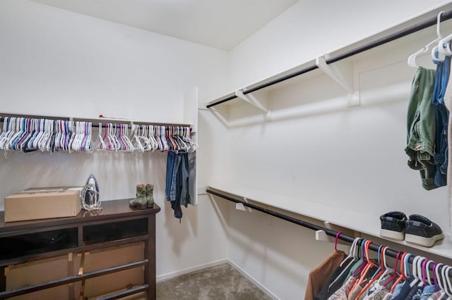 spacious closet with carpet floors