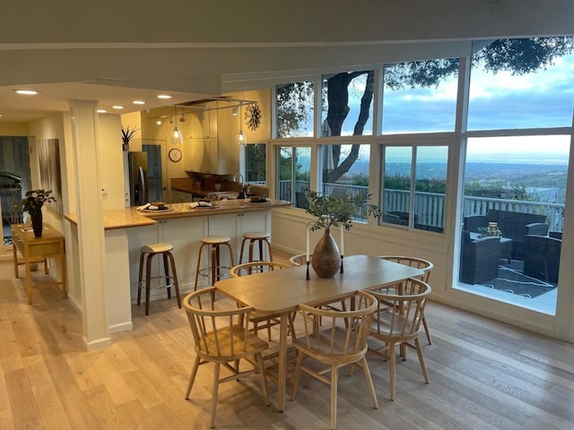 dining space with sink and light hardwood / wood-style floors