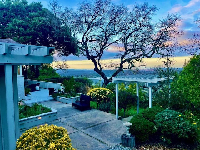 patio terrace at dusk with a pergola