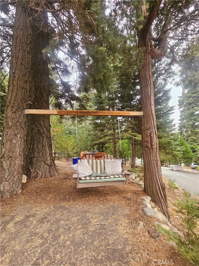 view of jungle gym