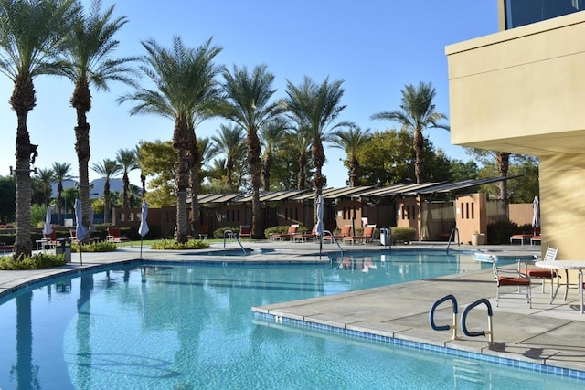 view of swimming pool with a patio