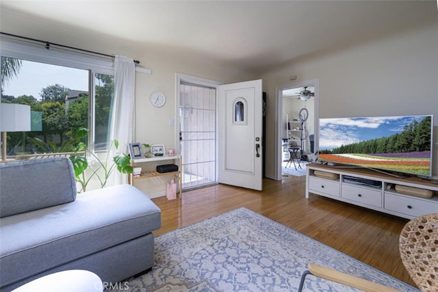 living room featuring hardwood / wood-style floors