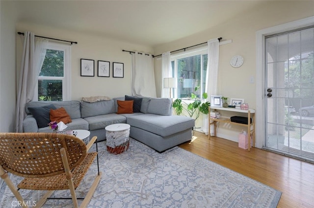 living room featuring hardwood / wood-style flooring and a healthy amount of sunlight