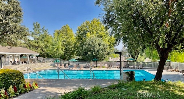 view of swimming pool with a patio