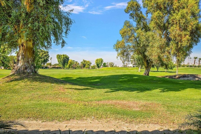 view of home's community featuring a yard