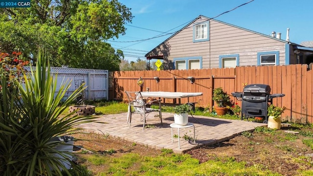 view of yard featuring a patio area