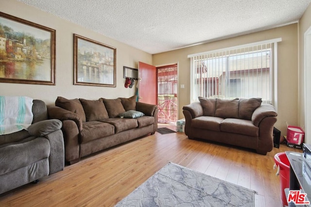 living room featuring hardwood / wood-style floors and a textured ceiling