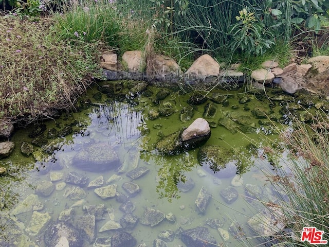 bird's eye view featuring a small pond