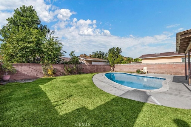 view of pool with a yard