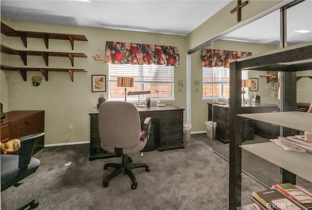 office area featuring carpet flooring